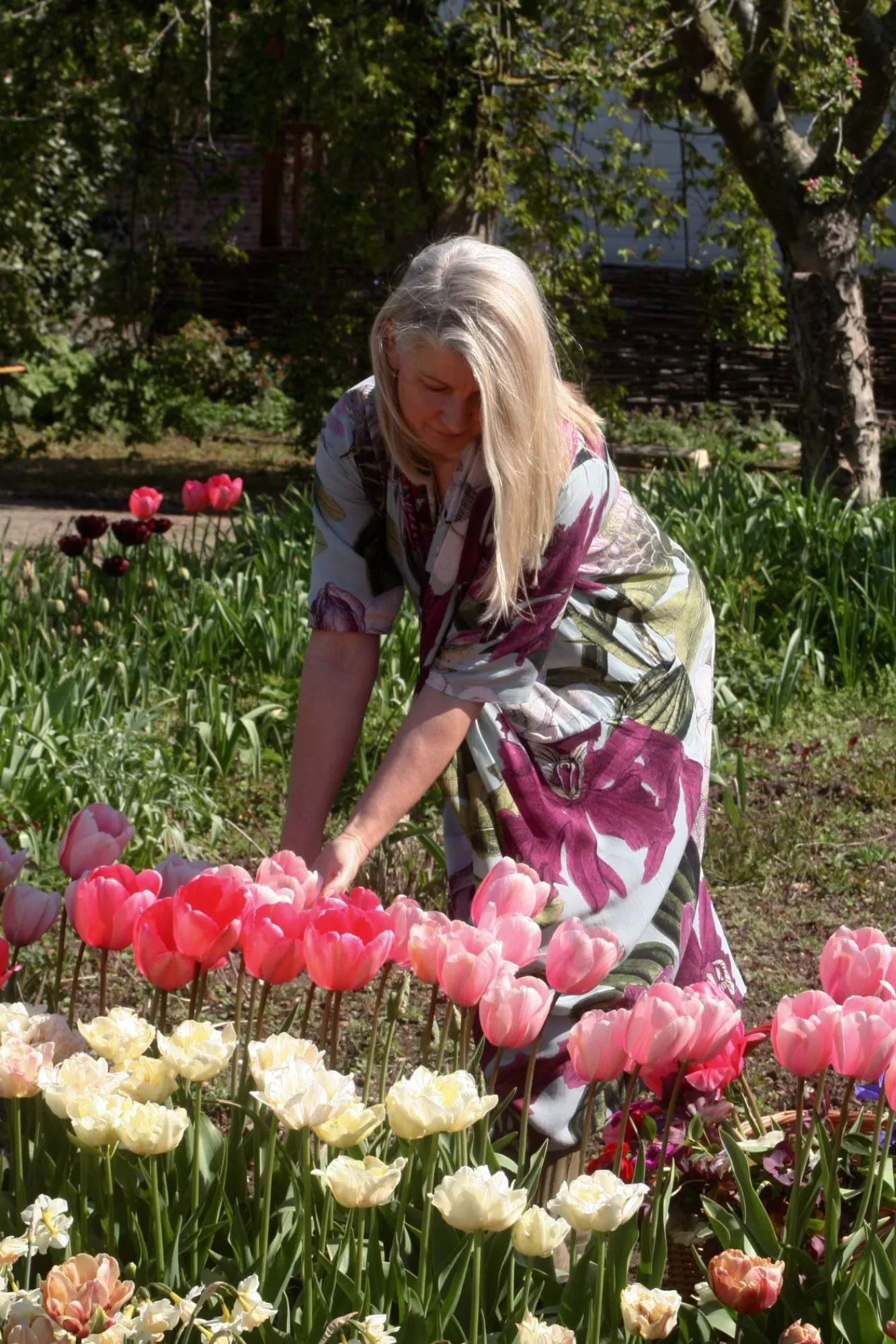 One Hundred Stars Kew Protea Duck Egg Rachel Dress|Women Dresses